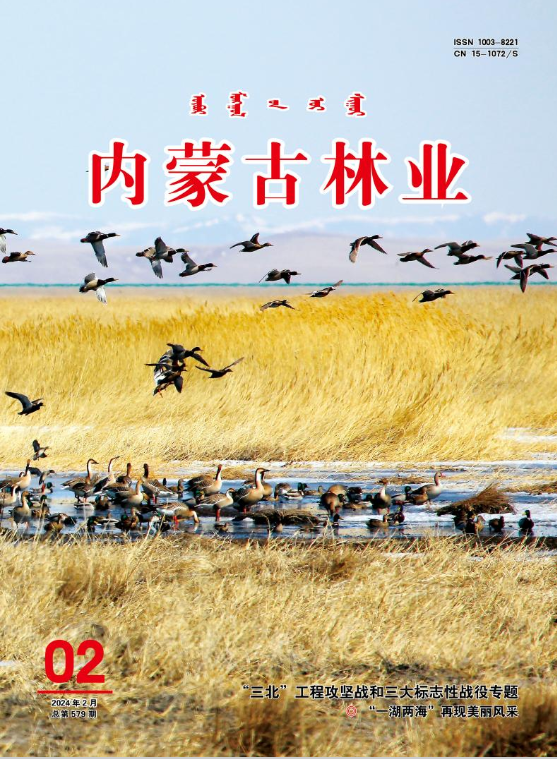 内蒙古林业